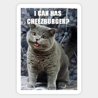 I Can Haz Cheezburger? Sticker